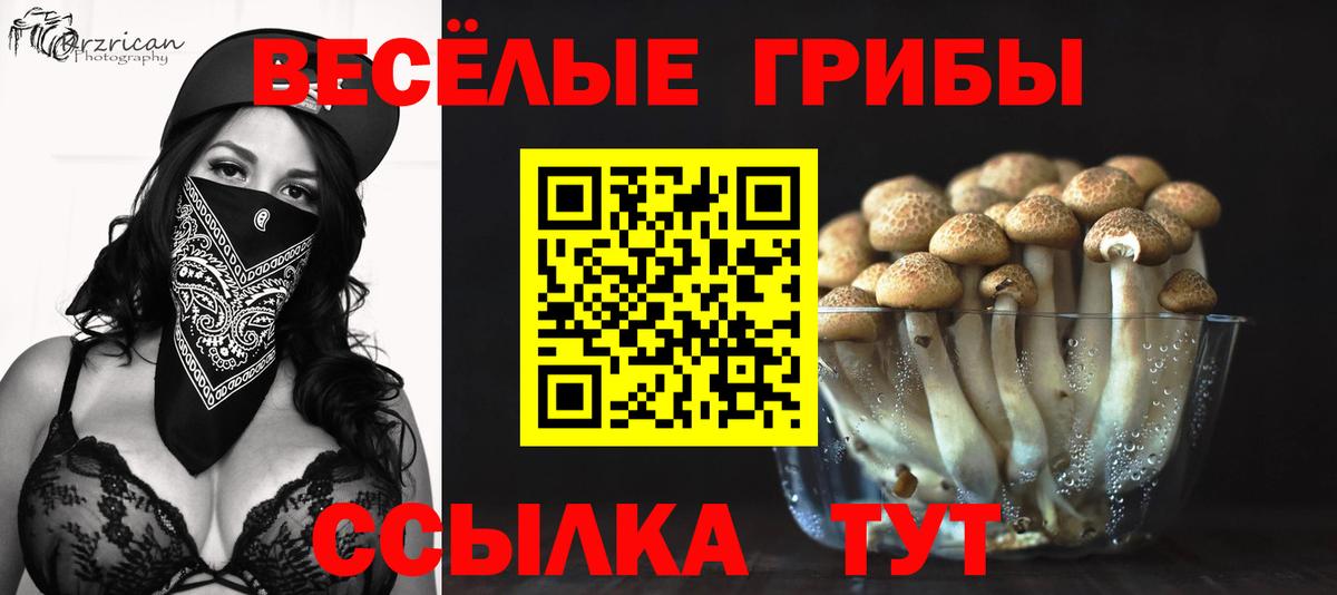 Псилоцибиновые грибы Magic Shrooms  Псилоцибиновые грибы ЛСД  Вход с VPN  Удомля 