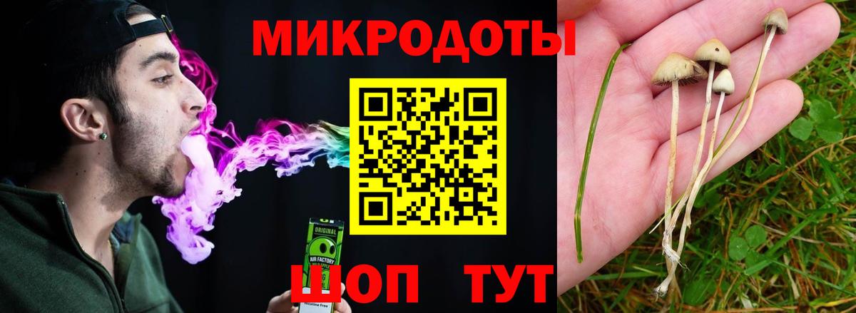 Галлюциногенные грибы ЛСД Удомля